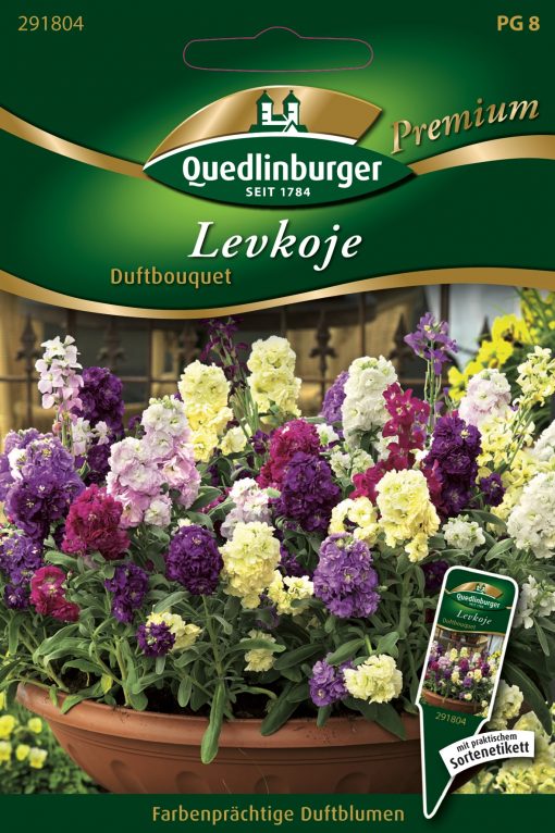 Levkojen-Duftbouquet-Gaertnerland-Quedlinburg