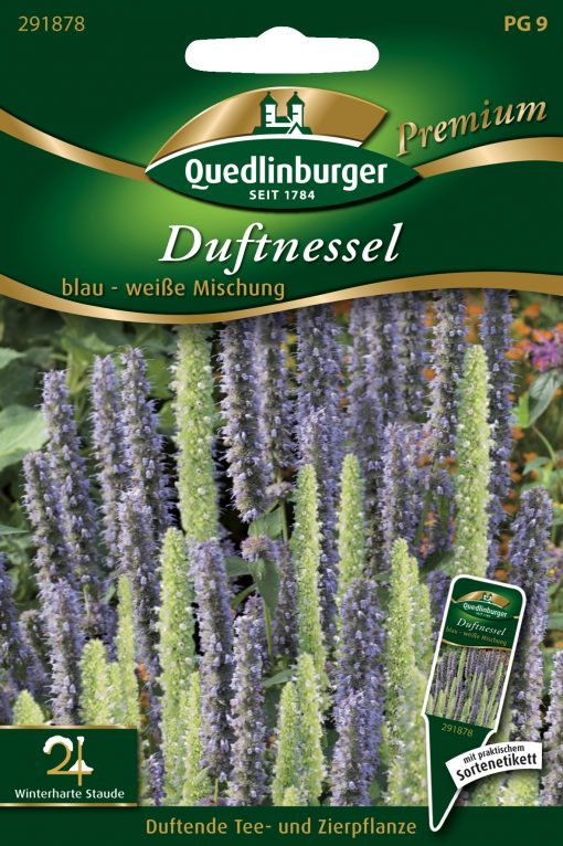 Duftnessel-blau-weiße-Mischung-Gaertnerland-Quedlinburg