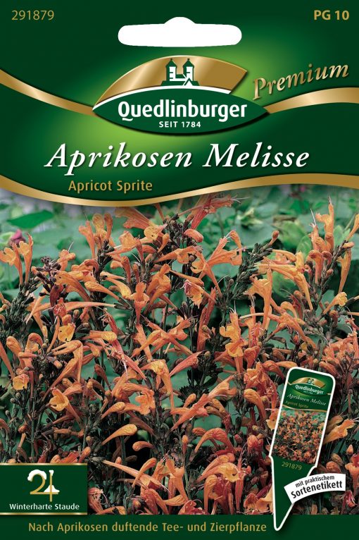 Aprikosen-Melisse-Apricot-Sprite-Gaertnerland-Quedlinburg