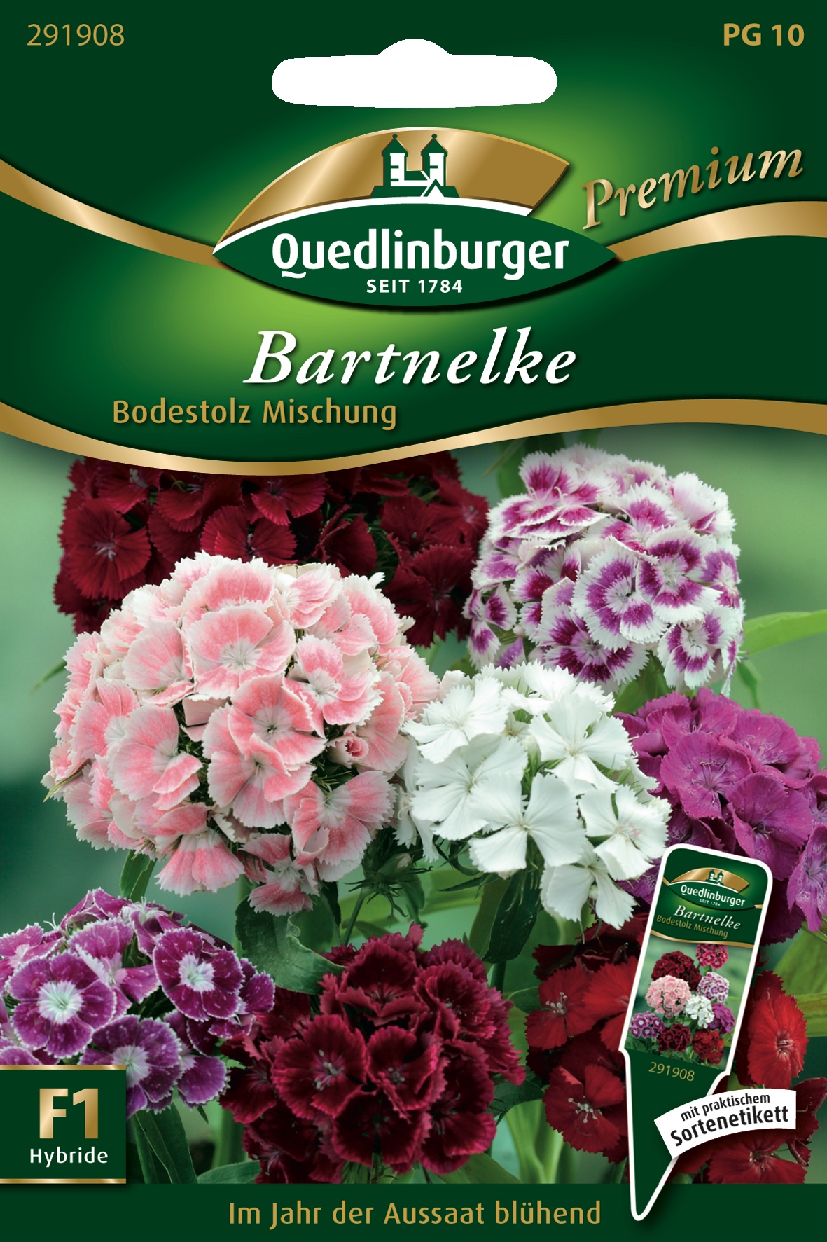 Bartnelke-Bodestolz-Mischung-Gaertnerland-Quedlinburg