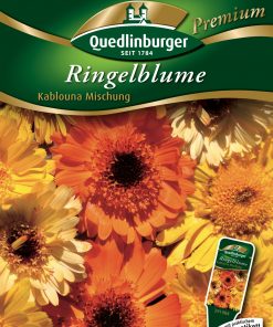 Ringelblume-Kablouna-Mischung-Gaertnerland-Quedlinburg