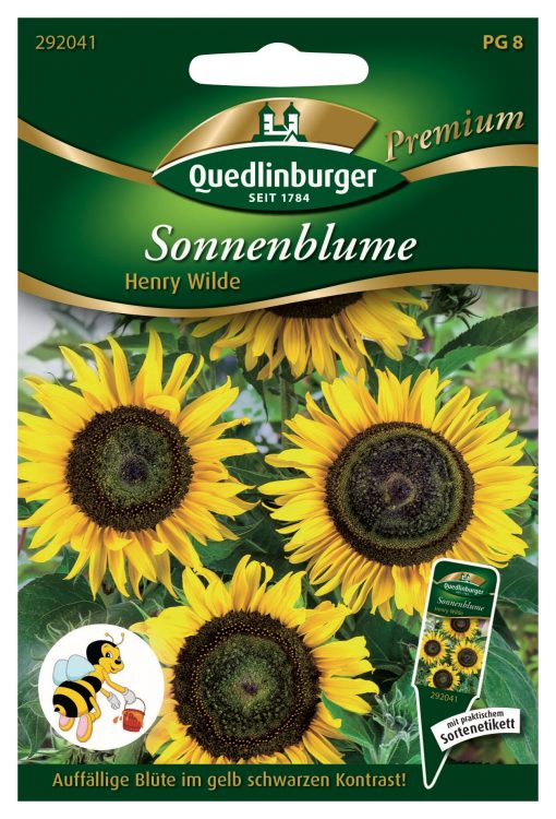 Sonnenblume-Henry-Wilde-Gaertnerland-Quedlinburg
