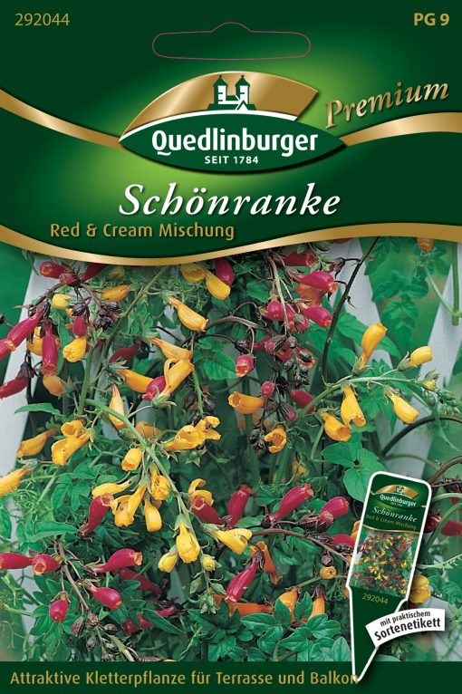 Schoenranke-Red-Cream-Mischung-Gaertnerland-Quedlinburg