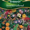 Sommerabend-Mischung-Gaertnerland-Quedlinburg