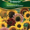 Sonnenblume-Summertime-Mischung-Gaertnerland-Quedlinburg