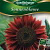 SonnenblumenClaret-Gaertnerland-Quedlinburg