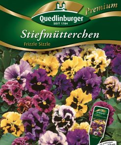 Stiefmuetterchen-Frizzle-Sizzle-Gaertnerland-Quedlinburg