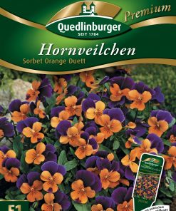 Hornveilchen-Sorbet-Orange-Duett-Gaertnerland-Quedlinburg