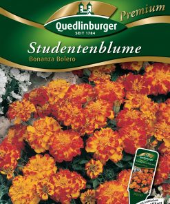 Studentenblumen-Bonanza-Bolero-Gaertnerland-Quedlinburg