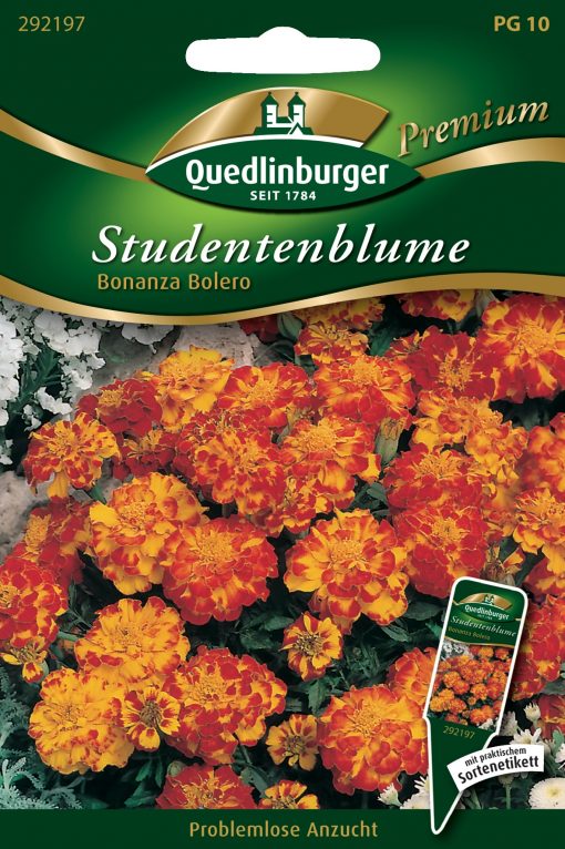 Studentenblumen-Bonanza-Bolero-Gaertnerland-Quedlinburg