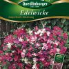 Edelwicke-Ampelkorb-Mischung-Gaertnerland-Quedlinburg