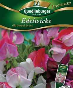 Edelwicke-Old-Sweet-Scent-Gaertnerland-Quedlinburg