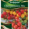 Cherrytomaten-Mix-Gaertnerland-Quedlinburg