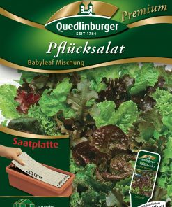 Pfluecksalat-Babyleaf-Mischung-Gaertnerland-Quedlinburg