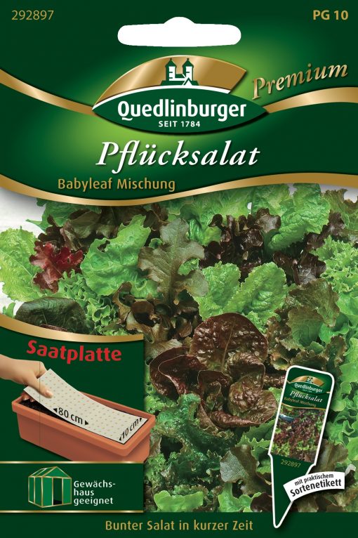 Pfluecksalat-Babyleaf-Mischung-Gaertnerland-Quedlinburg