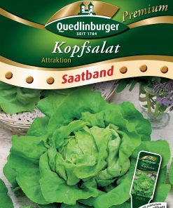 Kopfsalat-Attraktion-Gaertnerland-Quedlinburg