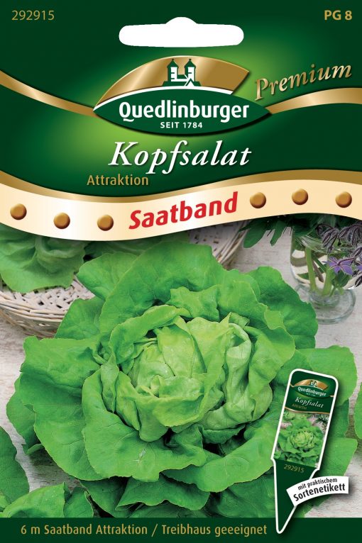 Kopfsalat-Attraktion-Gaertnerland-Quedlinburg