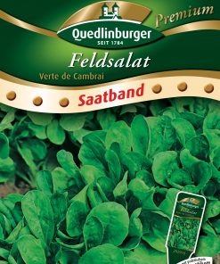 Feldsalat-Verte-de-Cambrai-Gaertnerland-Quedlinburg