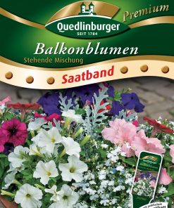 Balkonblumen-Stehende-Mischung-Gaertnerland-Quedlinburg