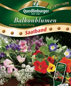 Balkonblumen-Haengende-Mischung-Gaertnerland-Quedlinburg