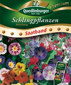 Schlingpflanzen-Mischung-Gaertnerland-Quedlinburg