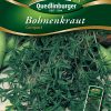 Bohnenkraut-Compact-Gaertnerland-Quedlinburg