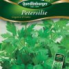 Petersilie-Gigante-d’Ìtalia-Gaertnerland-Quedlinburg