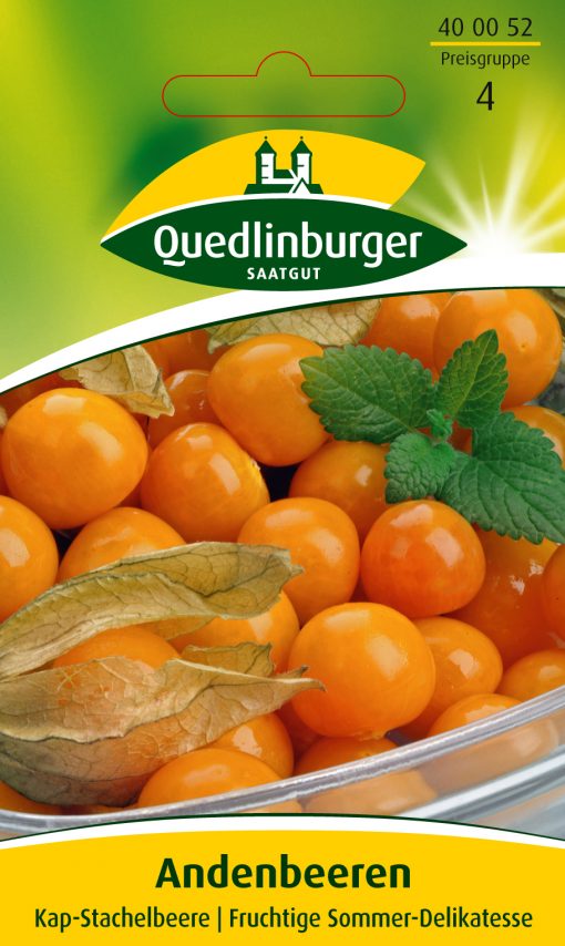 Andenbeeren-Kapstachelbeeren-Gärtnerland-Quedlinburg