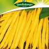 Buschbohnen-Berggold-Gaertnerland-Quedlinburg