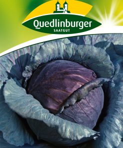 Rotkohl-Roodkop-Gaertnerland-Quedlinburg