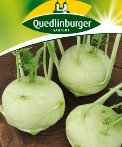 Kohlrabi-Delikatess-weißer-Gaertnerland-Quedlinburg