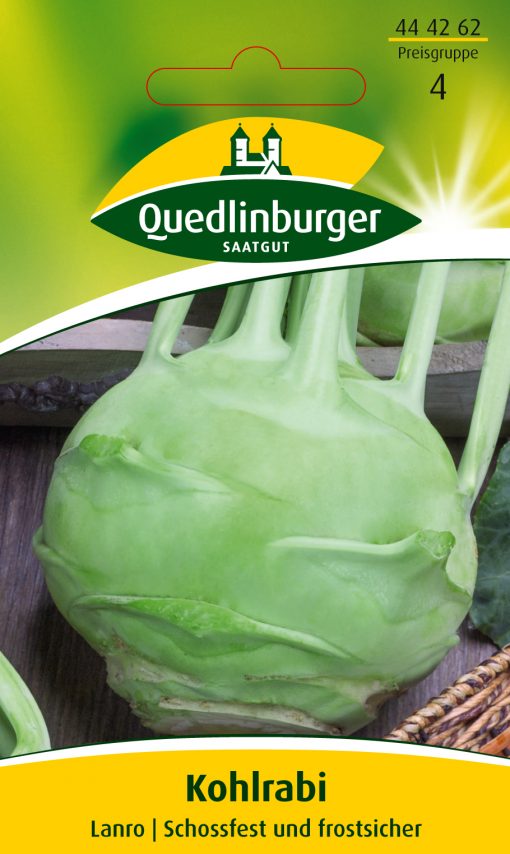 Kohlrabi-Lanro-Gaertnerland-Quedlinburg