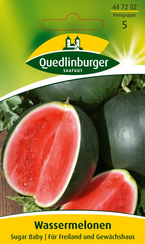 Wassermelonen-Sugar Baby-Gaertnerland-Quedlinburg