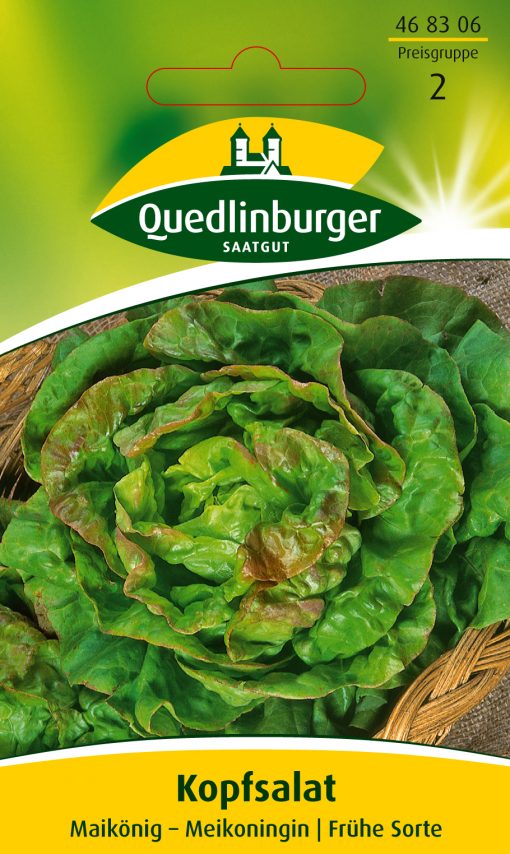 Kopfsalat-Meikoninging-Gaertnerland-Quedlinburg