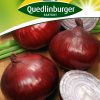 Zwiebeln-Braunschweiger-dunkelblutrote-Gaertnerland-Quedlinburg