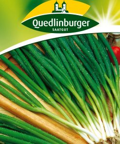 Winterheckenzwiebeln-Freddy-Gaertnerland-Quedlinburg