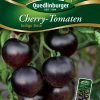 Cherrytomate-Indigo-rose-Gaertnerland-Quedlinburg