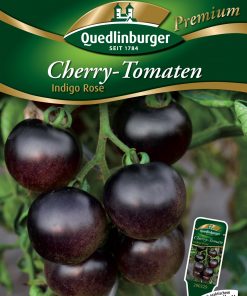 Cherrytomate-Indigo-rose-Gaertnerland-Quedlinburg