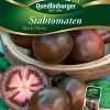 Stabtomate-Black-Prince-Gaertnerland-Quedlinburg