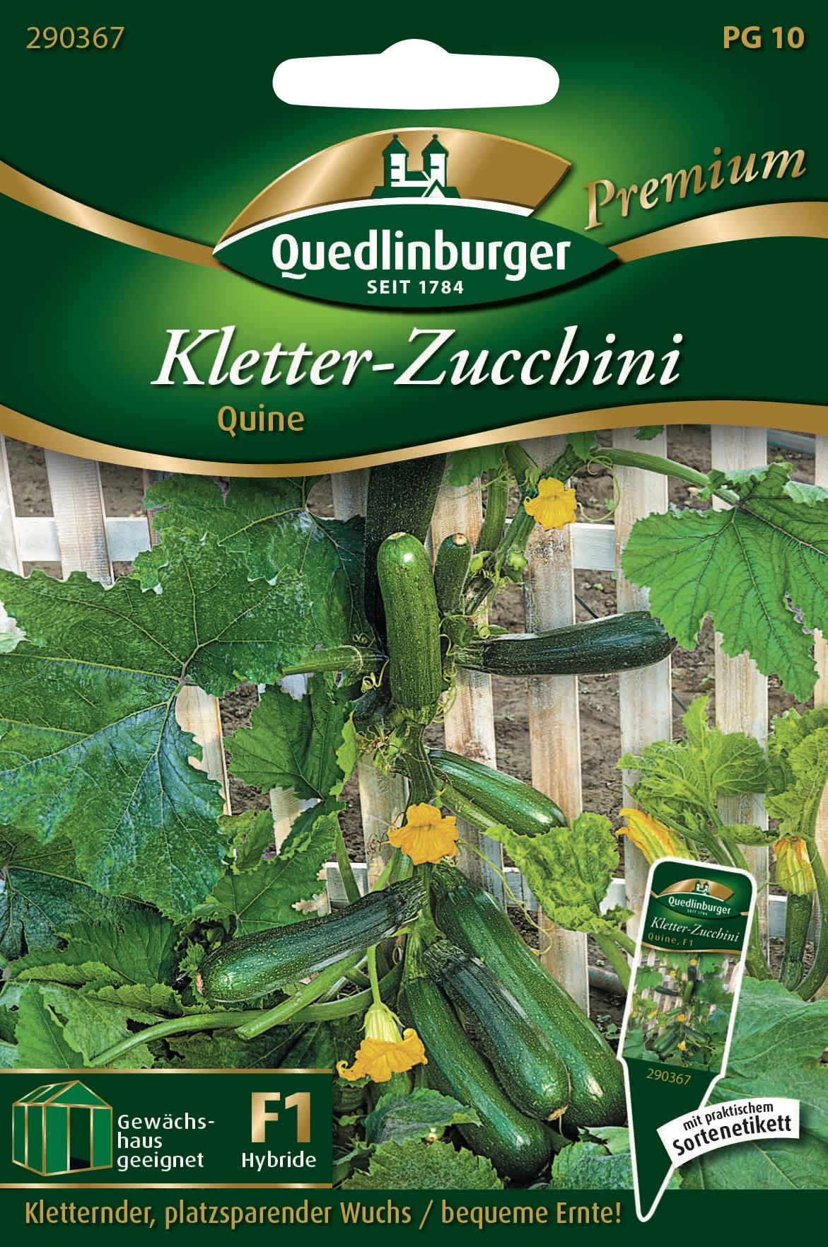 Kletterzucchini-Quine-Gaertnerland-Quedlinburg