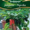 Paprika-Jalapeno-Fundador-Gaertnerland-Quedlinburg