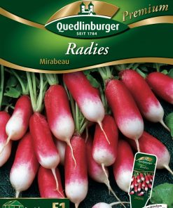 Radies-Mirabeau-Gaertnerland-Quedlinburg