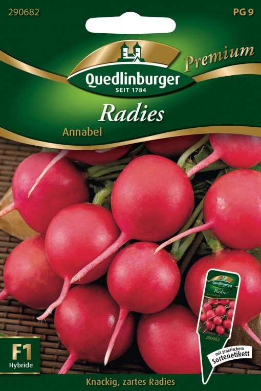 Radies-Annabel-Gaertnerland-Quedlinburg