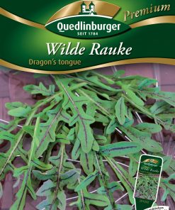 Wilde-Rauke-Dragon's-tongue-Gaertnerland-Quedlinburg