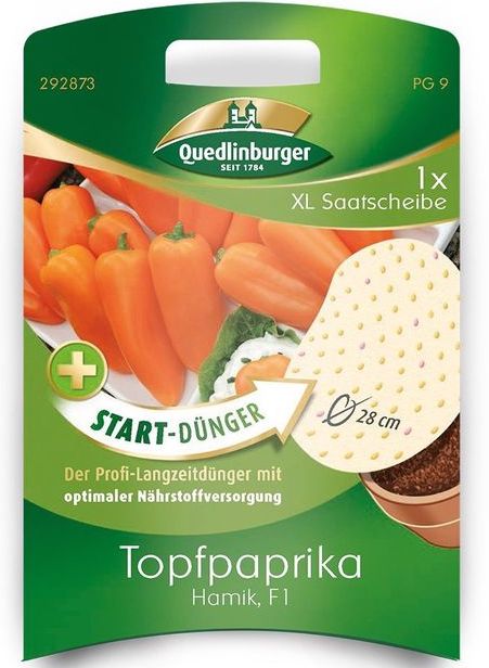 Topfpaprika "Hamik" F1 XL Saatscheibe