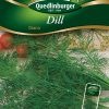 Dill-Diana-Gaertnerland-Quedlinburg