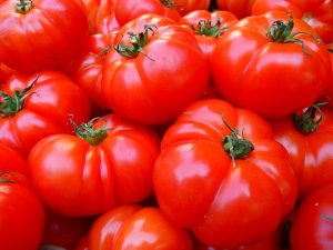 tomaten-Gaertnerland-Quedlinburg