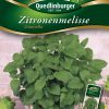 Zitronenmelisse-Citronella-Gaertnerland-Quedlinburg