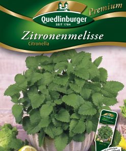 Zitronenmelisse-Citronella-Gaertnerland-Quedlinburg