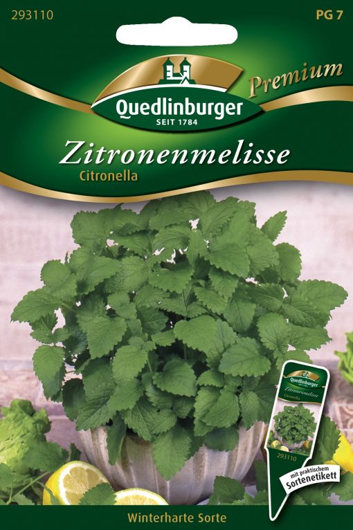 Zitronenmelisse-Citronella-Gaertnerland-Quedlinburg